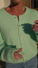 LIESJE cardigan Apple green