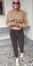 FANNY velours jogger pants chocolat