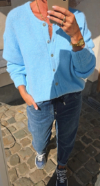 LIESJE cardigan baby blue
