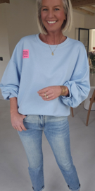 PERFECT sweatshirt baby blue