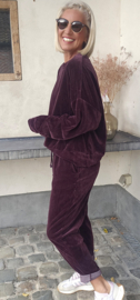 VERO soft velvet jogger set plum