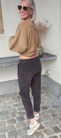 FANNY velours jogger pants chocolat