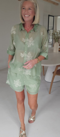 MAUD set olive