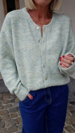 LIESJE cardigan mint