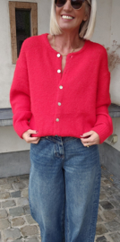 LIESJE 2 cardigan red