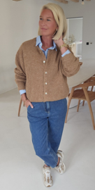 LIESJE cardigan camel