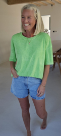 DANA terry T-shirt fresh green
