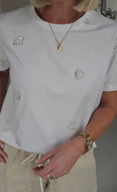 BEACH SHELLS cotton T-shirt