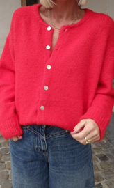 LIESJE 2 cardigan red