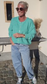 LIESJE cardigan emerald