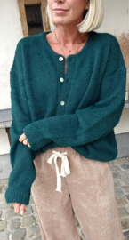LIESJE cardigan bottle green