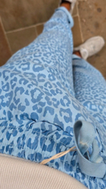 LEO cotton jogger pants