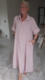 CELESTE maxi dress soft pink curve