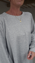 ARIEL sweatshirt dress grey