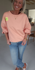PERFECT sweatshirt peach