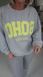 SOHO cotton sweatshirt grey