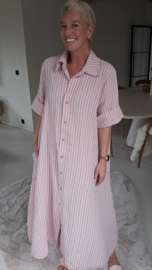 CELESTE maxi dress soft pink curve