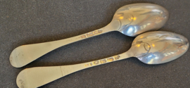 Lepel van Christiaan vd Pesch 1795 22 cm 55 gram zilver .