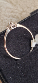 Leuke rozet briljant ring wit goud met 7x 0.02 crt maat 17,5.