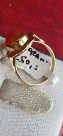 Gouden bloedkoraal ring met extra rand  maat 17  14 krt