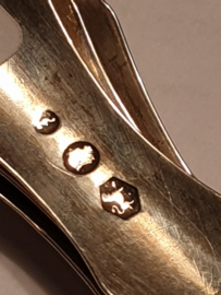 Thee lepels van Leendert Schenkel Biedermeier 1884 12 cm 60 gram Zilver