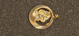 Gouden 14 kr dierenriem hanger waterman 2,7 gram diameter 2.2 cm.