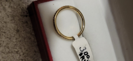 Gouden rij ring met 45x briljant 0.005 crt 2.2 mm breed leuk bij trouwring.