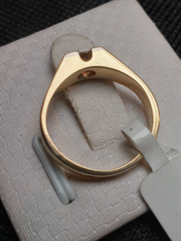14 kt gouden damesring of heren pinkring massief met centrale steen 0,25 crt