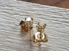 Een set gouden oorstekers met 2x 0.06 crt aan briljant open zetting