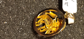 Mooie 3D 14 gouden hanger sterrebeeld leeuw 3gram diameter 1.8 cm.