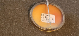 Mooie antieke gouden en zilver Camee broche geen scheuren 14 kr