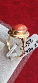 Gouden bloedkoraal ring met extra rand  maat 17  14 krt