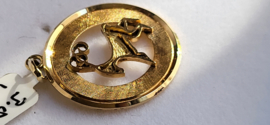 14 kr gouden sterrenbeeld zwaar Steenbok 25 mm diameter 3,8 gram.