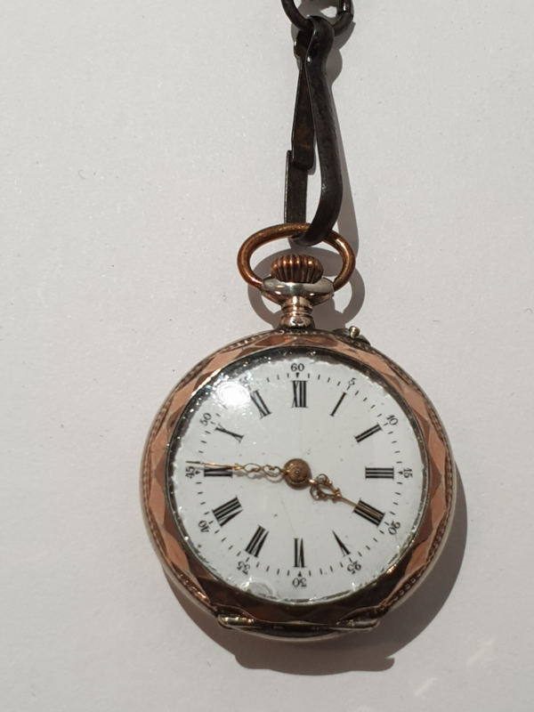 Gouden chatElaine