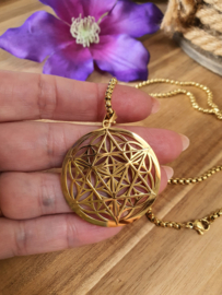 Levensbloem / Merkaba hanger + ketting RVS Gold