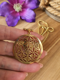 Levensbloem / Merkaba hanger + ketting RVS Gold