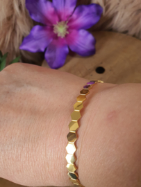 Armband RVS 14K gold plating (zeshoekjes)