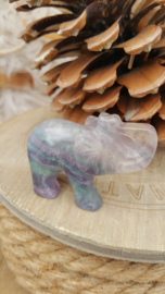 Regenboog Fluoriet olifant (nr 1)