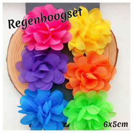 Bloemen regenboog fel (set van 6)