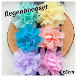 Bloemen regenboog pastel (set van 6)