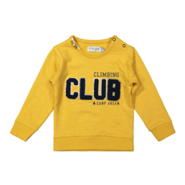 Dirkje - Sweater Ochre Yellow