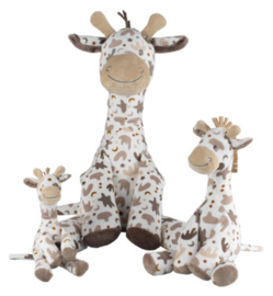 Giraffe Gilles  zand