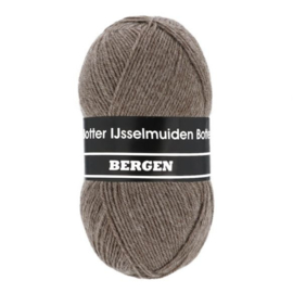 Botter IJsselmuiden Bergen 3 Bruin