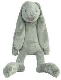 Rabbit Richie Giant Oudgroen