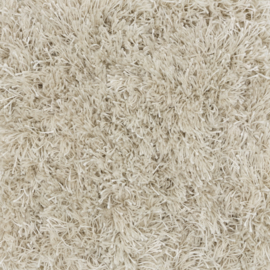 CARPETS
