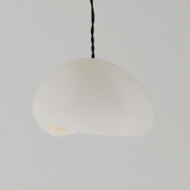 Pendant lamp organic