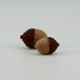 Acorns