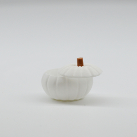 Pumpkin container