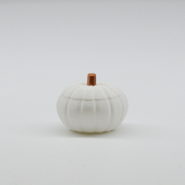 Pumpkin container