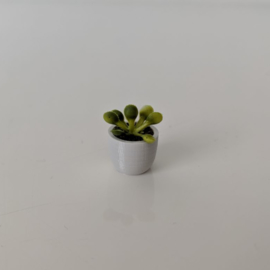 Plant V